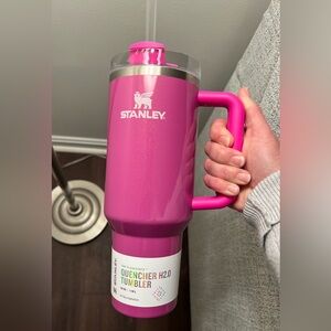 Stanley 40 oz winter wonderland - punch shimmer